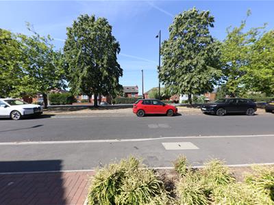 Picture 28